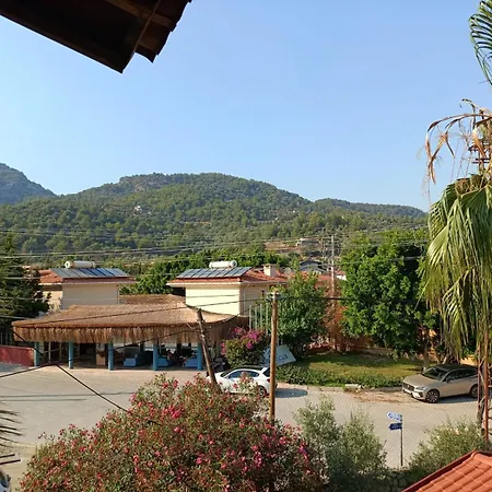 The Palm Sarigerme