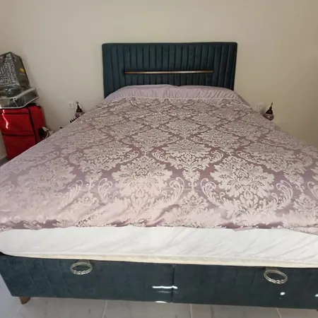 Apartament The Palm Ortaca (Mugla)