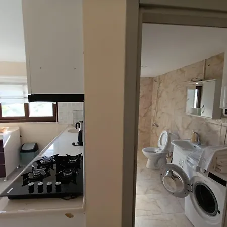 The Palm Apartament *