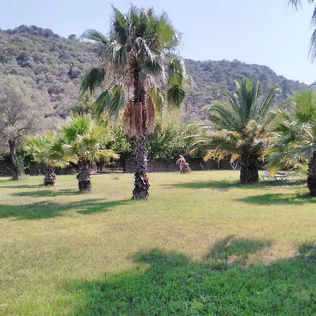 The Palm Ortaca (Mugla)