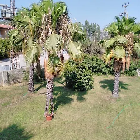 Appartement The Palm Sarigerme