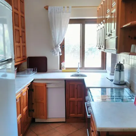 The Palm Appartement *