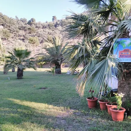 The Palm Appartement Sarigerme
