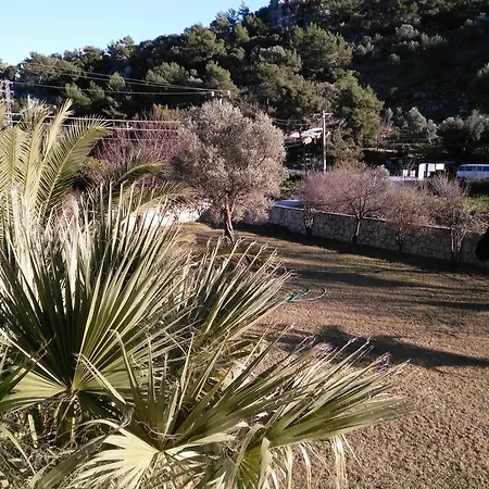 Appartement The Palm Sarigerme