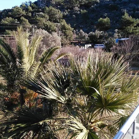 The Palm Apartamento