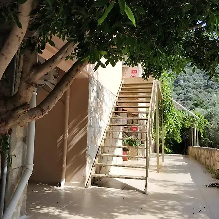 The Palm Appartement