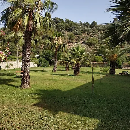 The Palm * Sarigerme