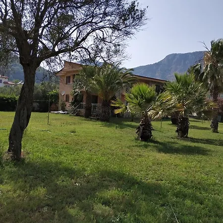 Apartament The Palm *
