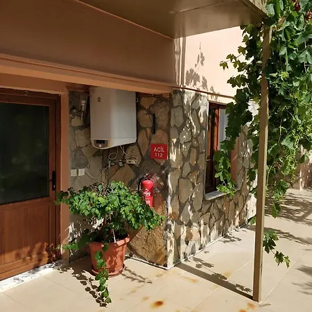 The Palm Appartement Sarigerme