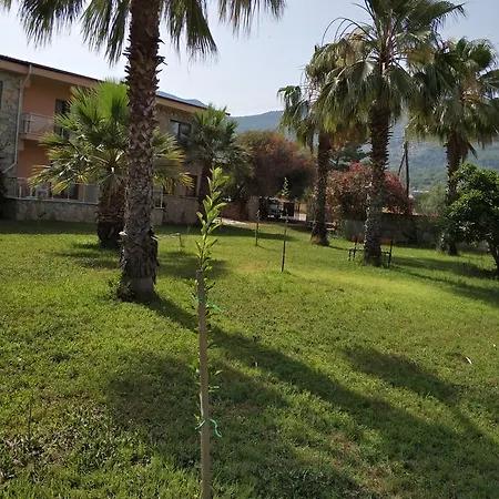 The Palm Apartament Sarıgerme
