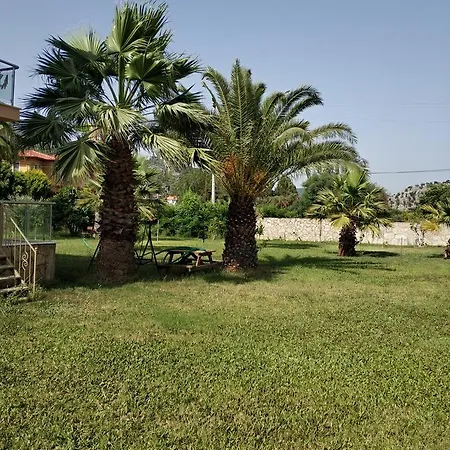 Apartament The Palm