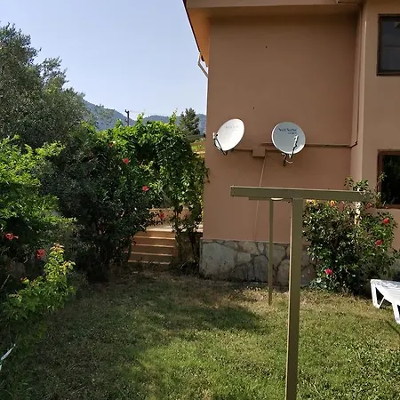 Appartement The Palm