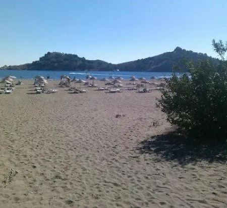 The Palm Appartement *