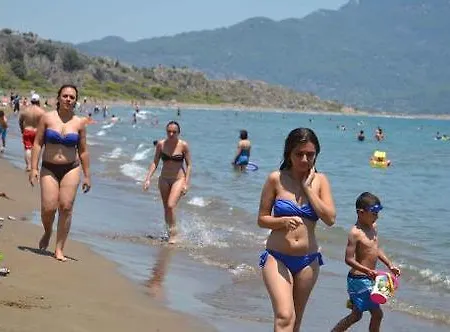 The Palm Appartement *