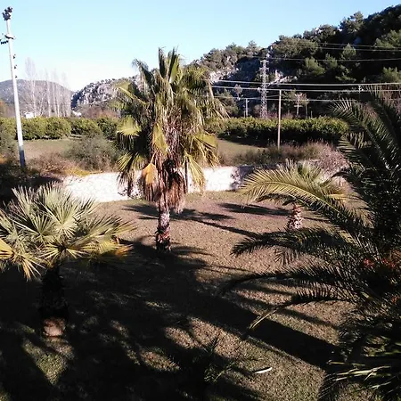 Apartamento The Palm