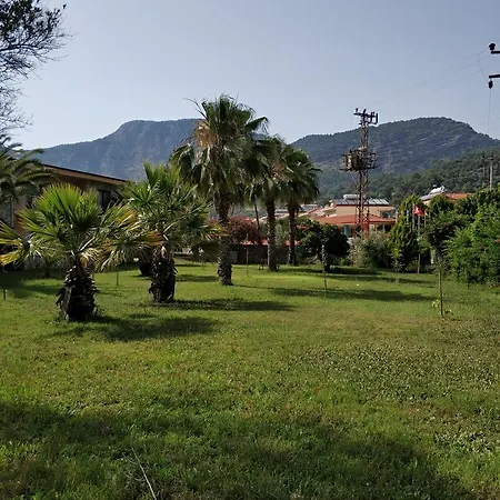 Apartmán The Palm *