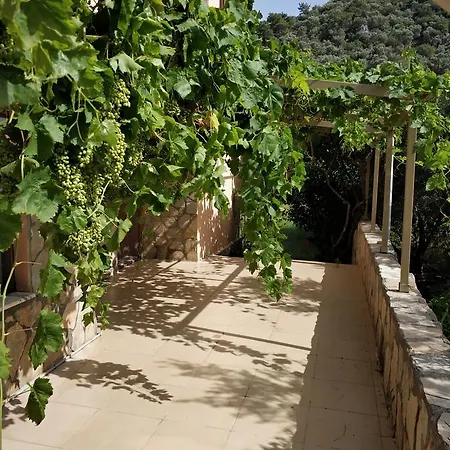 The Palm Apartamento Sarigerme