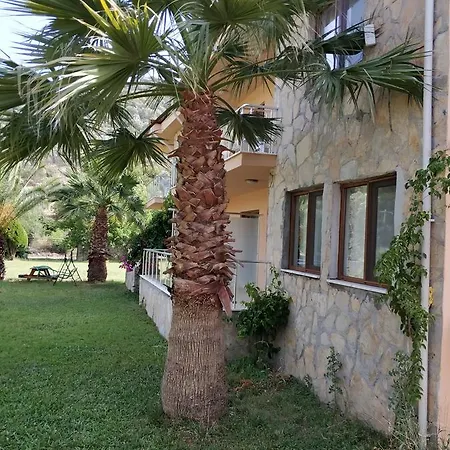 The Palm Apartmán Sarigerme