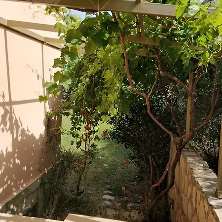 The Palm Apartamento Sarigerme