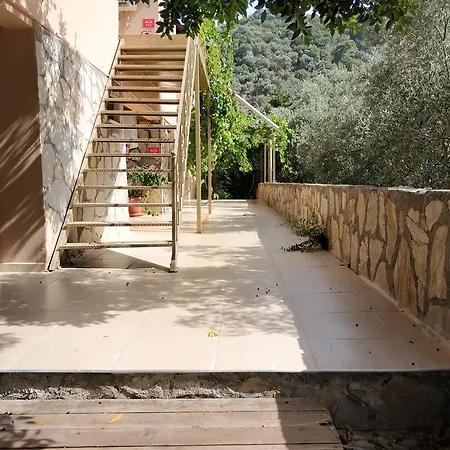 The Palm Apartamento