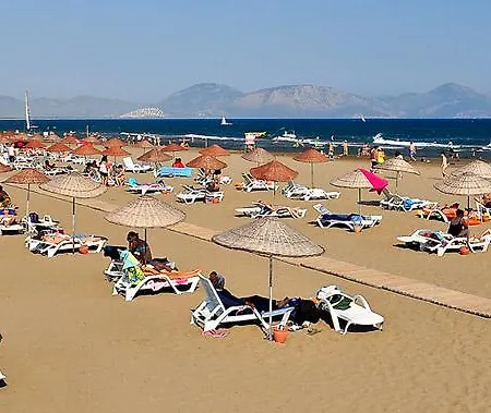 The Palm * Sarıgerme