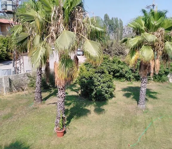 Daire The Palm Sarıgerme