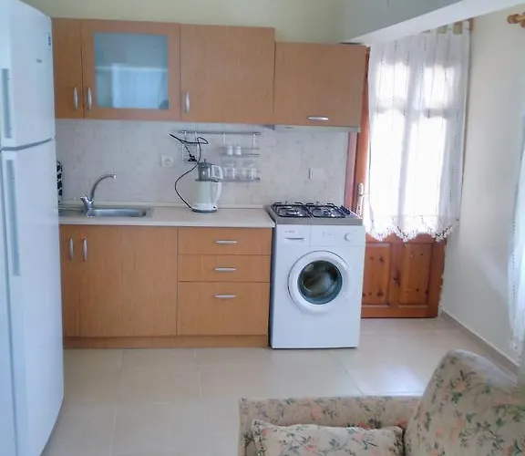 The Palm 사리게르메