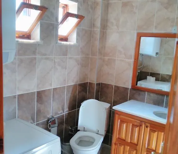 The Palm 사리게르메