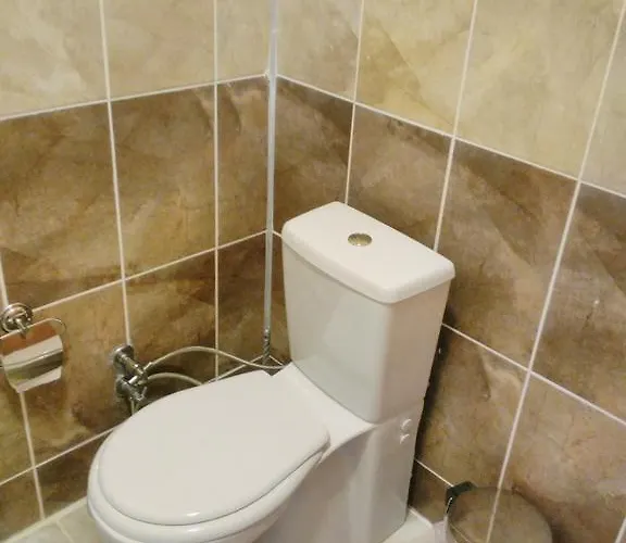 The Palm 사리게르메