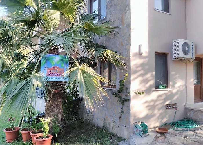 The Palm Sarıgerme