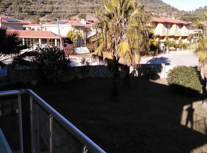 The Palm