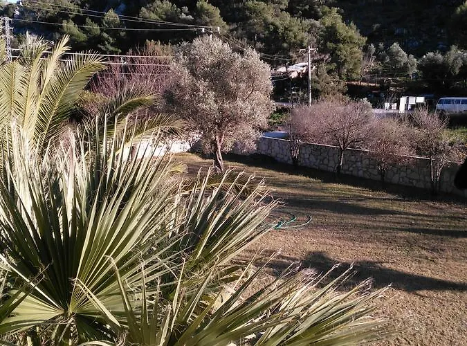 Daire The Palm Sarıgerme