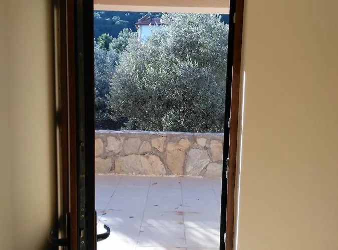 The Palm 사리게르메