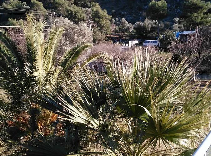 The Palm Daire