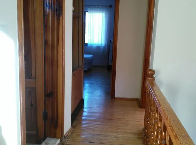 The Palm 사리게르메