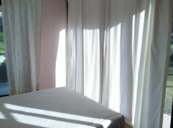 The Palm * 사리게르메