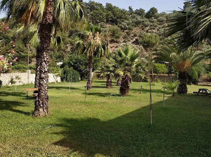 The Palm * Sarıgerme