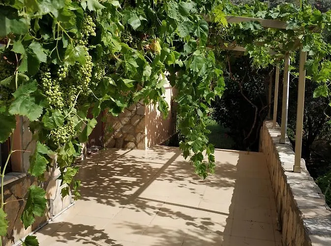 The Palm Daire Sarıgerme