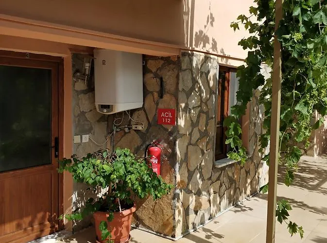 The Palm Daire Sarıgerme