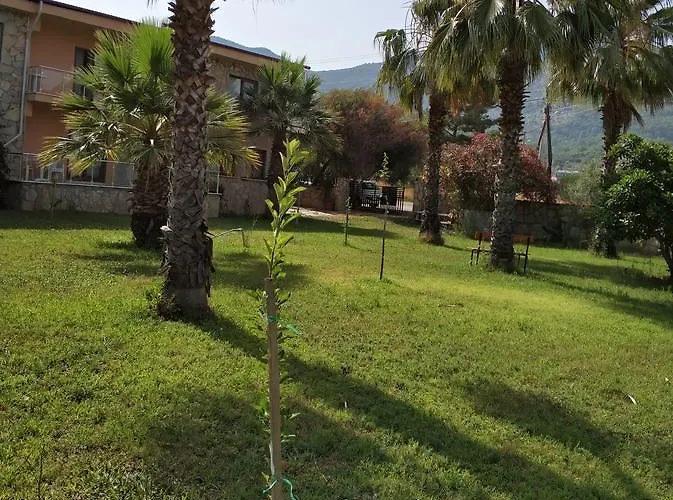 The Palm Daire Sarıgerme