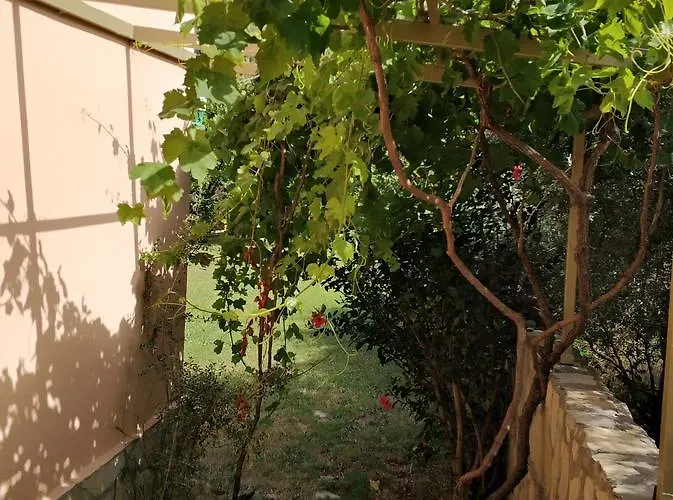 The Palm 아파트 사리게르메