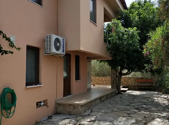 The Palm * Sarıgerme