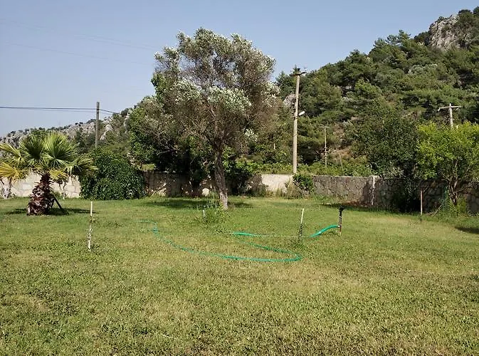The Palm Sarıgerme