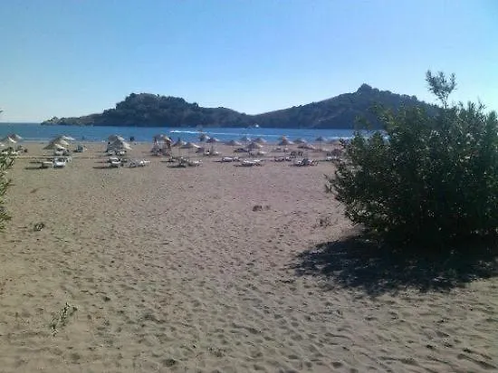The Palm Daire *