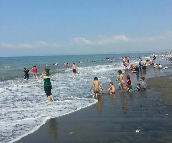 The Palm 사리게르메