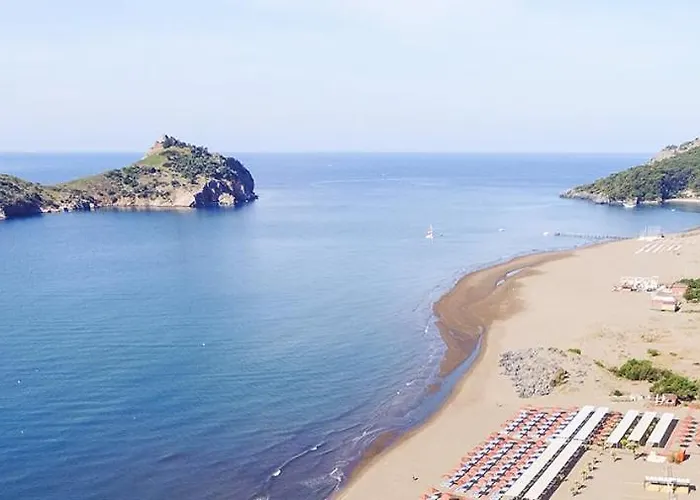The Palm Daire Sarıgerme