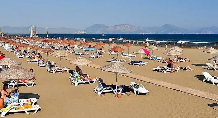 The Palm * Sarıgerme