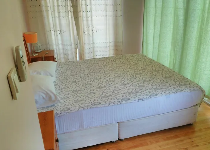 The Palm 사리게르메